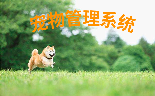 基于SpringBoot开发的宠物管理系统源码分享